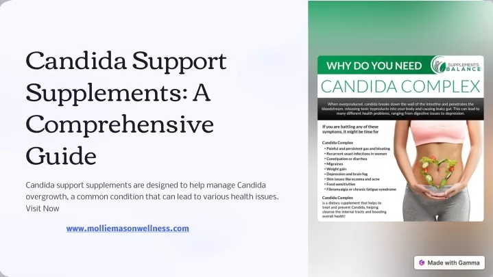 candida support supplements a comprehensive guide