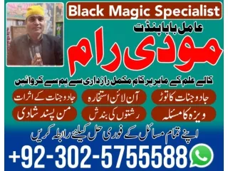 Best astrologer in india 2024 for consultation