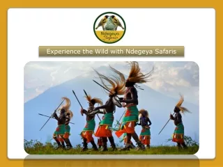 Experience the Wild with Ndegeya Safaris