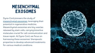 mesenchymal exosomes