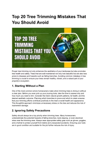 Top 20 Tree Trimming Mistakes That You Should Avoid