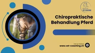 Chiropraktische Behandlung Pferd: Eine nicht-invasive Lösung