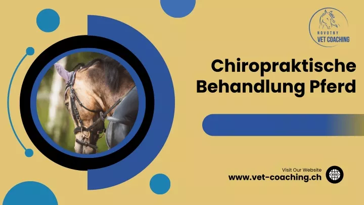 chiropraktische behandlung pferd