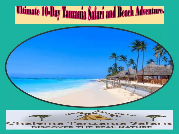 ultimate 10 day tanzania safari and beach