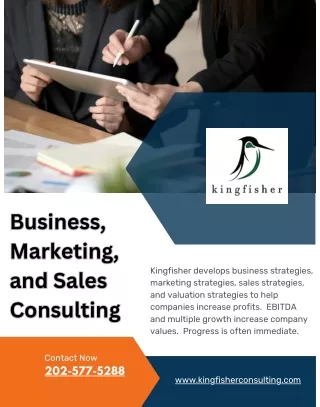 Kingfisher Growth Strategies: Empowering Your Business Potential