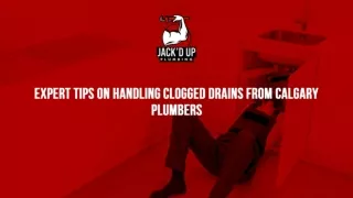 expert tips on handling clogged drains from