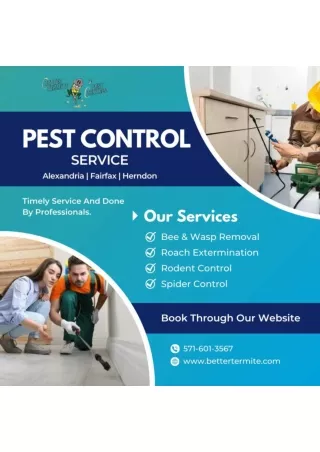 Professional Pest Management in Arlington, Alexandria, Fairfax, and Herndon, VA