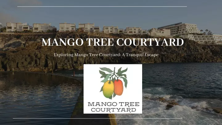 mango tree courtyard