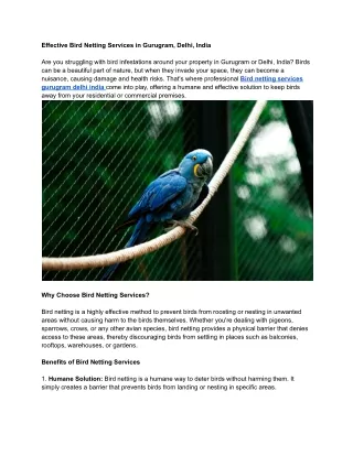 Bird netting services gurugram delhi indias