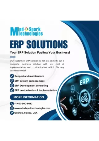 Transform Your Business with Custom ERP Solutions in Florida - Mind Spark Techno