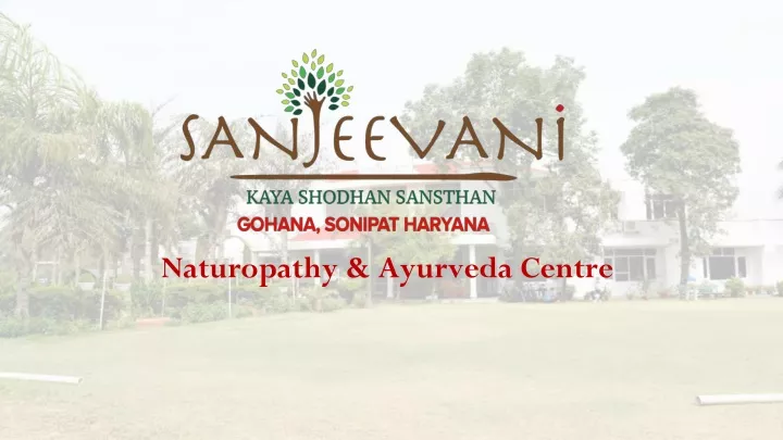 naturopathy ayurveda centre