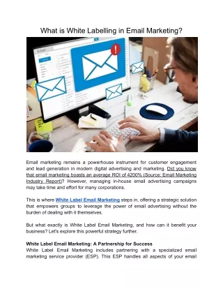 What is White Labelling in Email Marketing