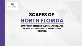 Scapes of North Florida