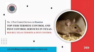 No. 1 Pest Control Services in Houston
