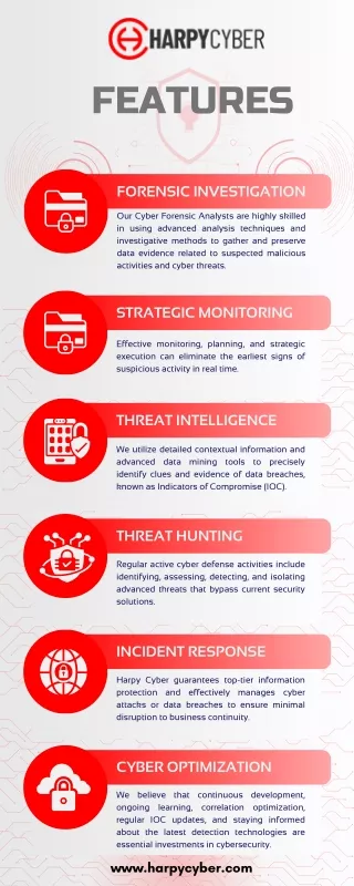 Best Cyber Security Services Company- Harpy Cyber