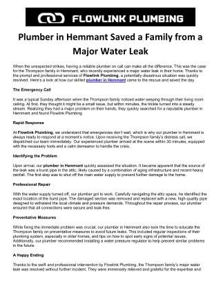 Plumber in Hemmant Saved a Family from a Major Water Leak