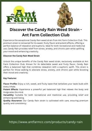 Discover the Candy Rain Weed Strain - Ant Farm Collection Club