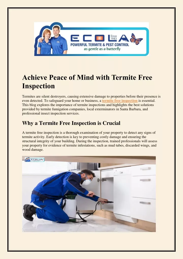 achieve peace of mind with termite free inspection