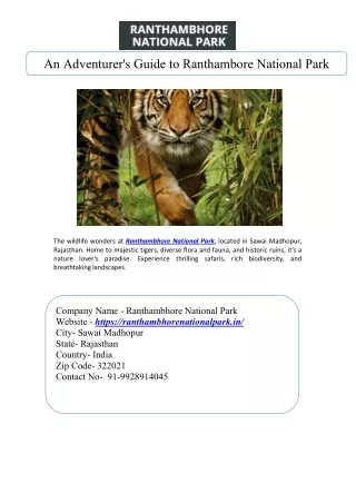An Adventurer's Guide to Ranthambore National Park
