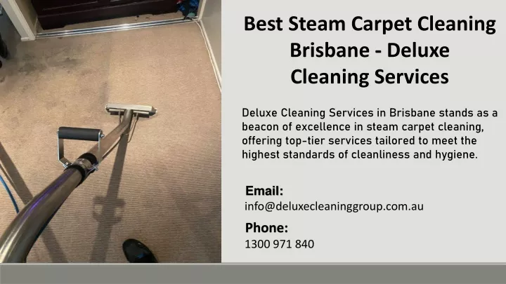 best steam carpet cleaning brisbane deluxe