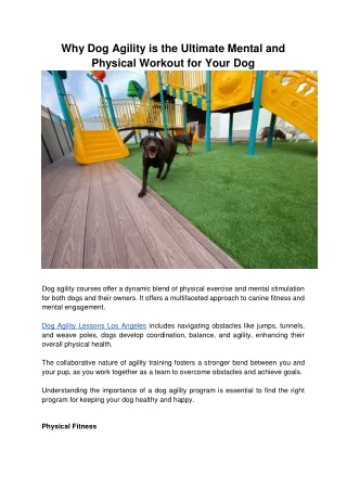 Why Dog Agility is the Ultimate Mental and Physical Workout for Your Dog