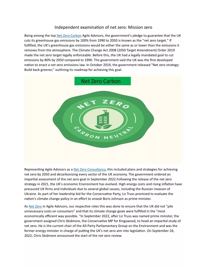 independent examination of net zero mission zero