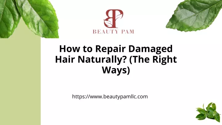 how to repair damaged hair naturally the right