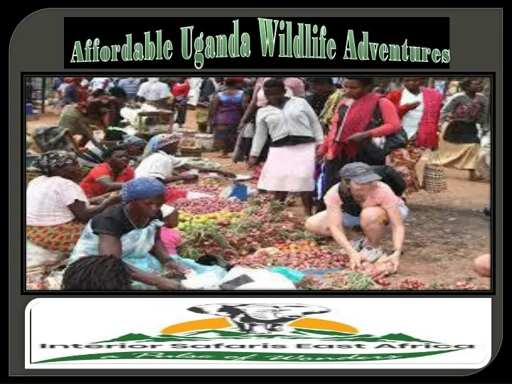 affordable uganda wildlife adventures