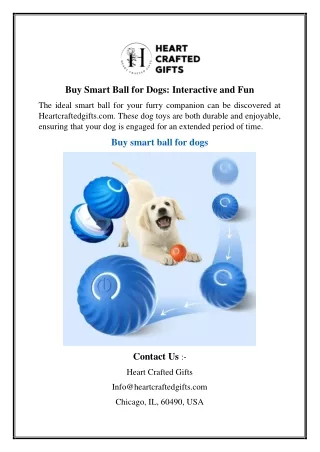 Buy Smart Ball for Dogs Interactive and Fun