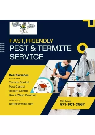 Pest Control services in Alexandria, Arlington, Fair