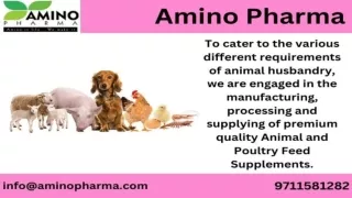 Animal Feed Supplements Manufacturer