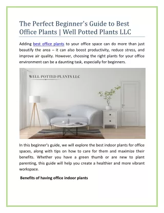 The Perfect Beginner's Guide to Best Office Plants | Well Potted Plants LLC