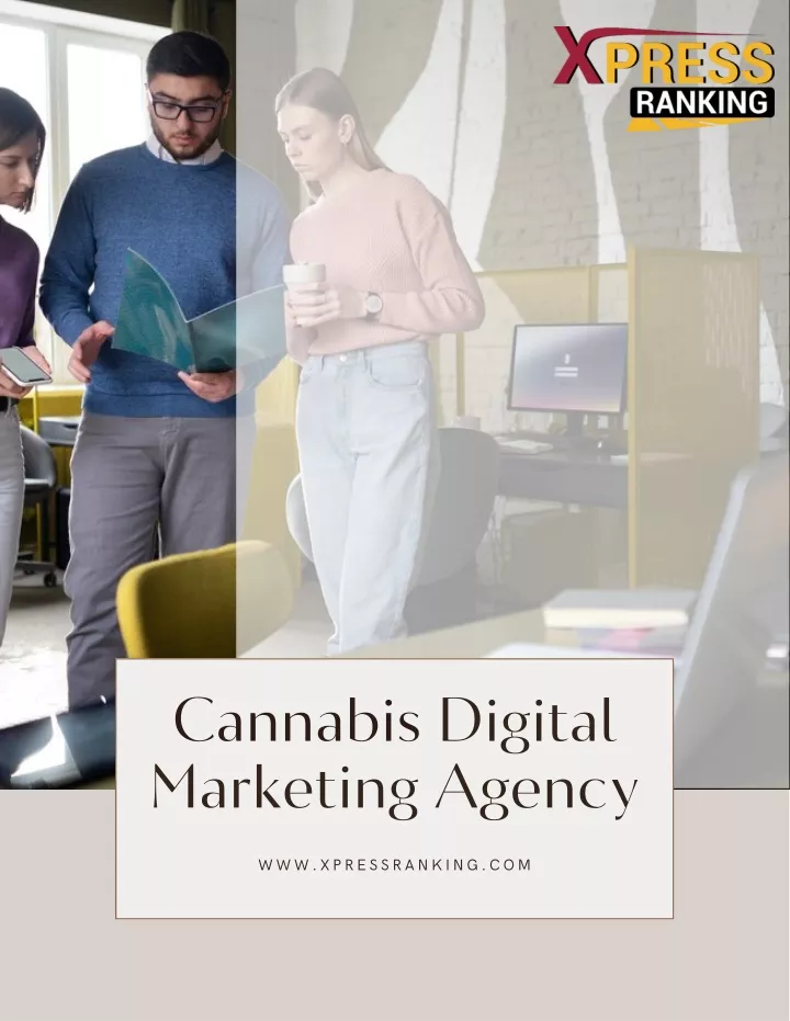 cannabis digital marketing agency