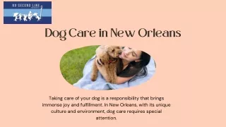 Dog Care in New Orleans: Trusted Services by K9 Second Line