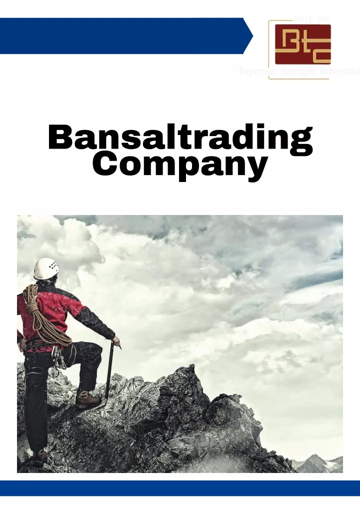 bansaltrading company