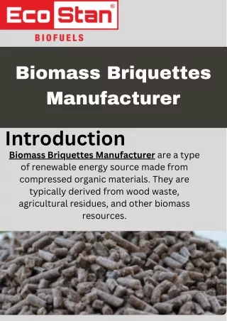 Best Biomass Briquettes Manufacturer | Renewable Fuel Experts