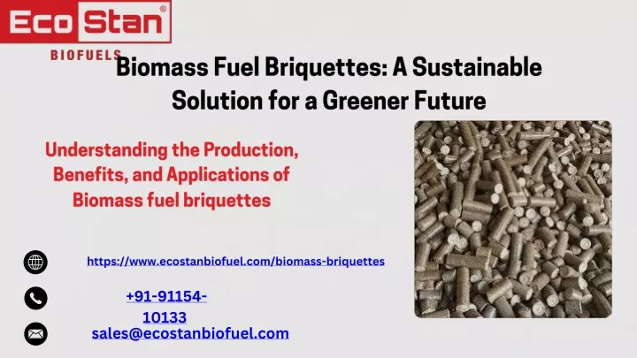 biomass fuel briquettes a sustainable solution