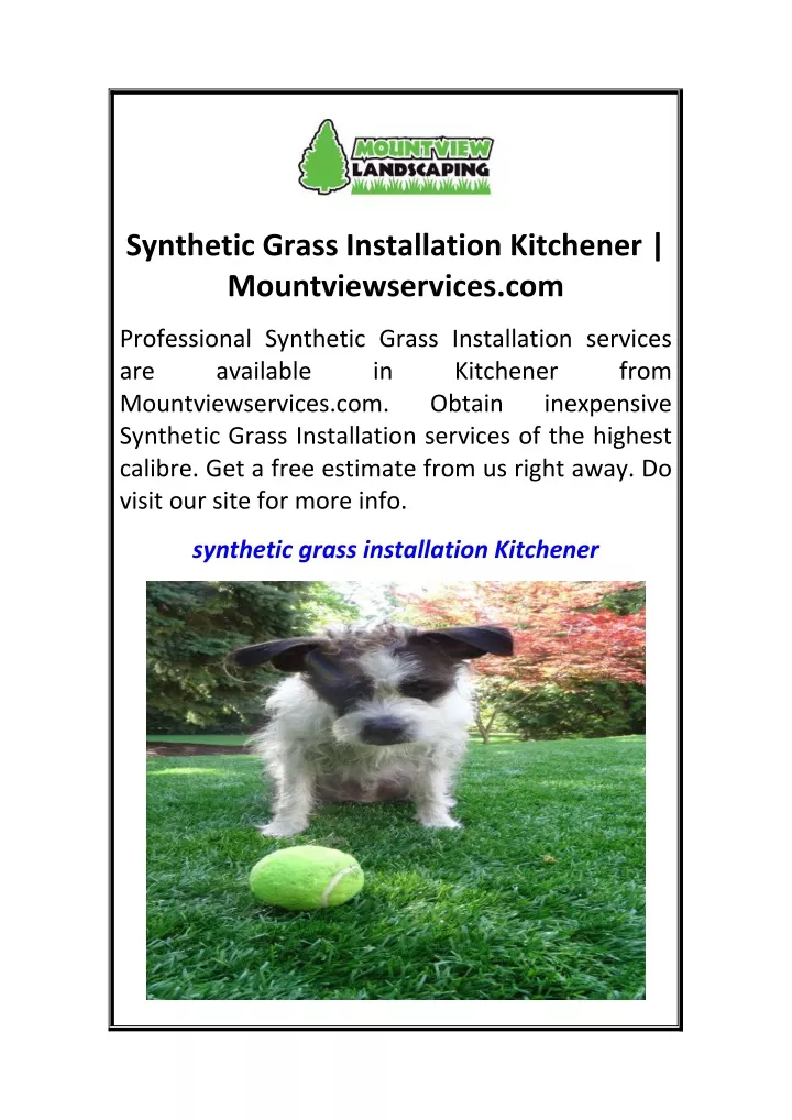 synthetic grass installation kitchener