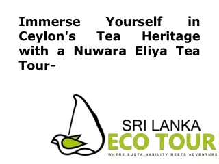 Immerse Yourself in Ceylon's Tea Heritage with a Nuwara Eliya Tea Tour