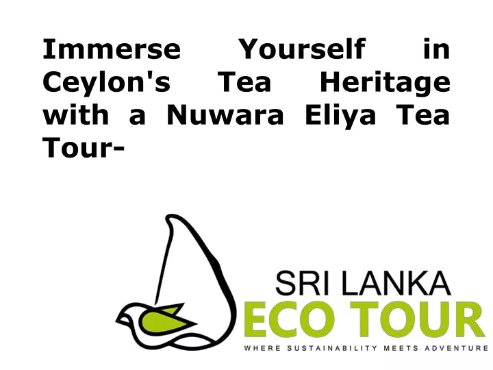 immerse yourself in ceylon s tea heritage with a nuwara eliya tea tour