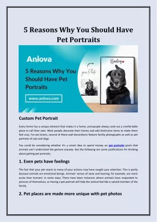 5 Reasons Why You Should Have Pet Portraits