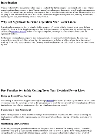 Just How to Safely And Securely Trim Down Vegetation Near Energy Lines