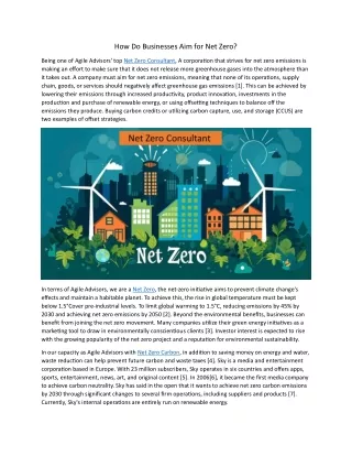 How Do Businesses Aim for Net Zero 12.7.24