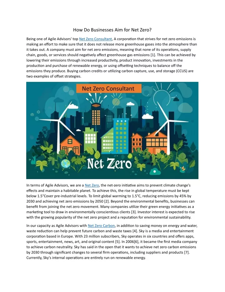 how do businesses aim for net zero