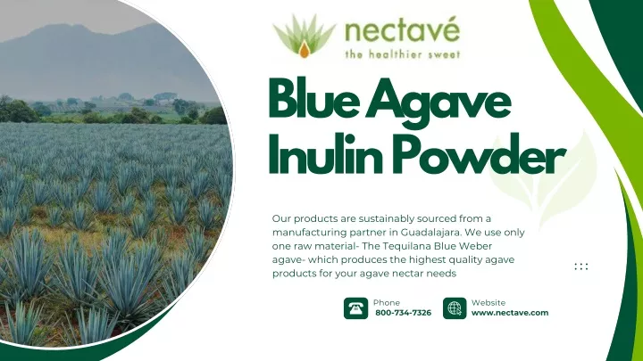 blue agave inulin powder