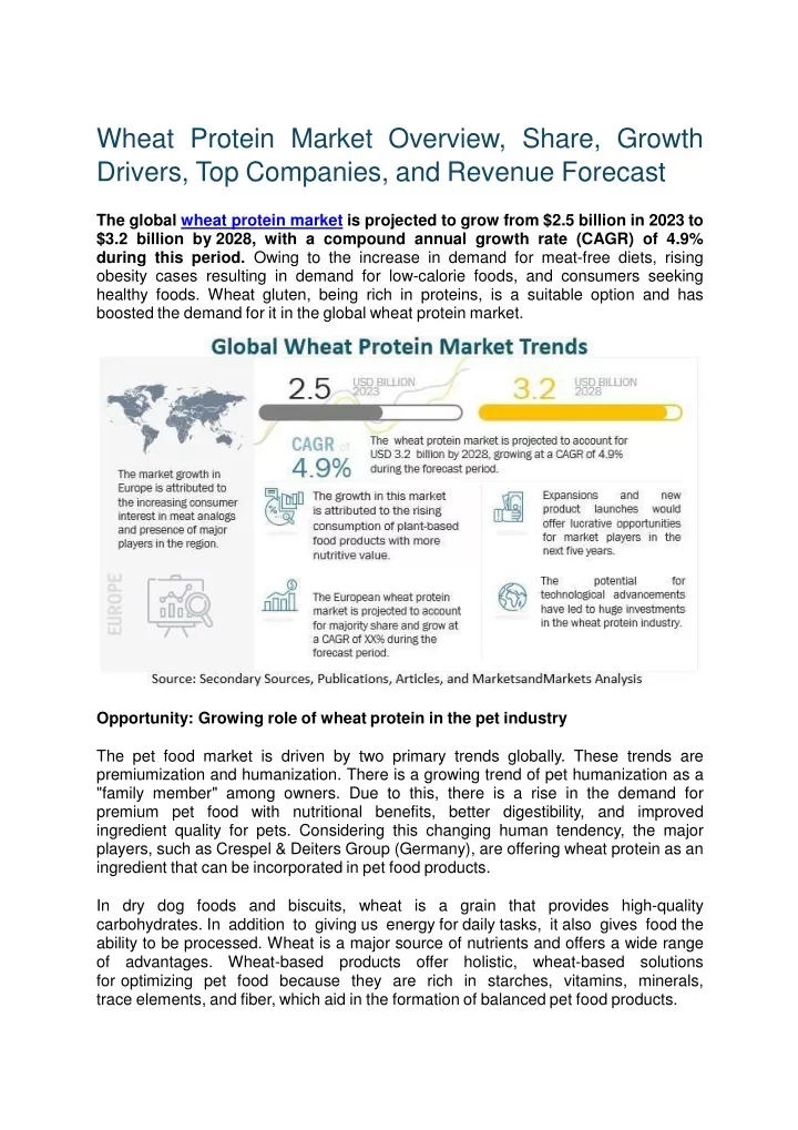 wheat protein market overview share growth