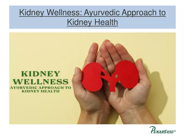 kidney wellness ayurvedic approach to kidney health