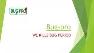 bug pro