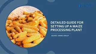 detailed guide for setting up a maize processing