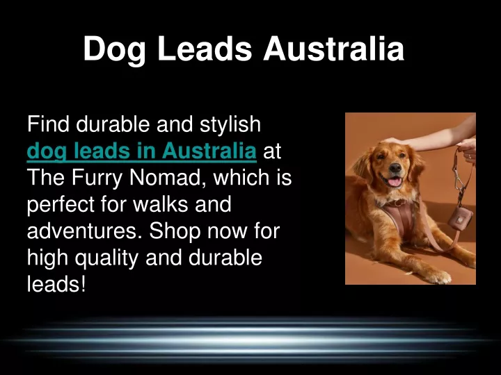 dog leads australia